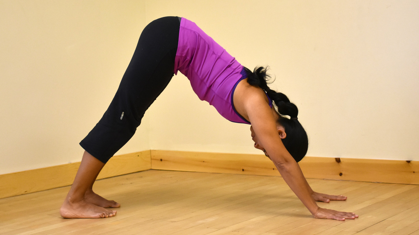 Introduction au yoga